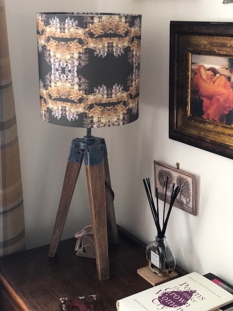 The Radcliffe Camera Building/Nuffield College shade.  Golden light hitting cotswold stone and dark branches laced in between the echoeing silhouettes of The Radcliffe Camera.